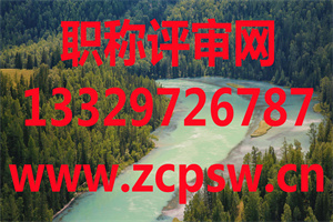2020广州生态环境申报职称认定流程