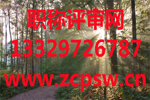 南京生态环境保护工程中级职称评审申报方式